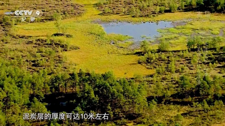 关于白俄罗斯惨败爱沙尼亚，小组赛陷入泥潭的信息