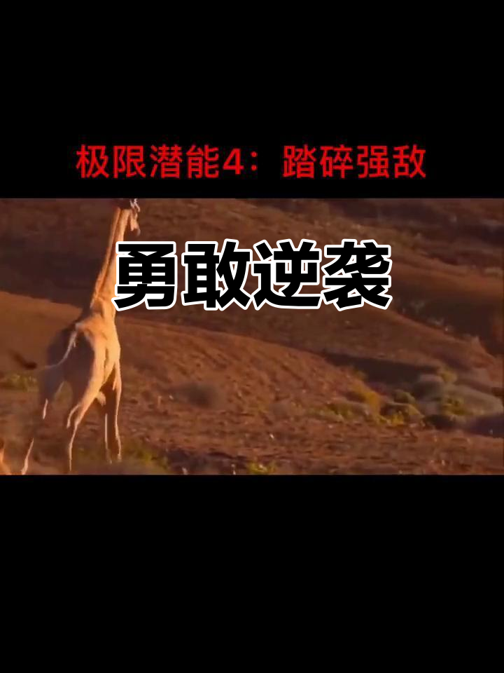 击败强敌，展现实力和勇气