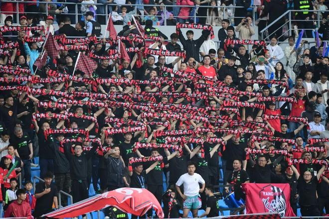 汉堡球队迎来胜利,球迷狂欢的简单介绍 汉堡球队迎来胜利,球迷狂欢的简单介绍